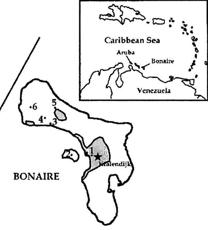 bonaire map